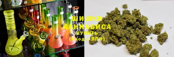прущая мука Иннополис