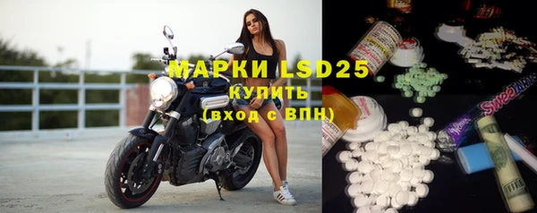 шишки Инсар