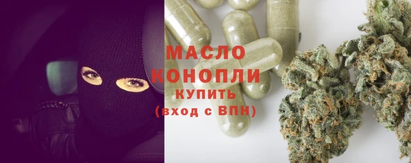 мдпв Инта