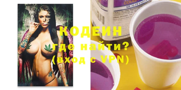 шишки Инсар