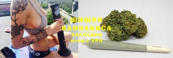 шишки Инсар
