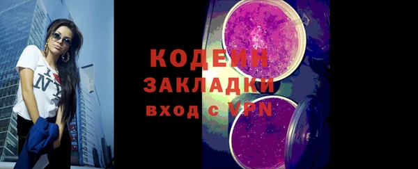 шишки Инсар