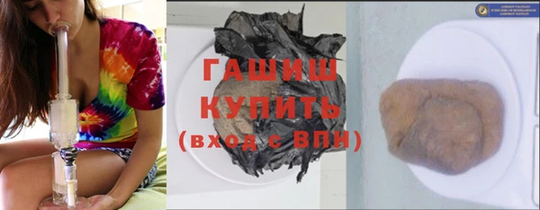 шишки Инсар