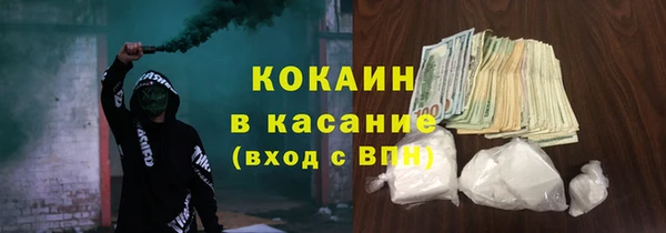 шишки Инсар