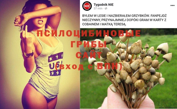 бутират Каменка