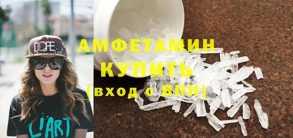 шишки Инсар