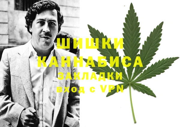 ПСИЛОЦИБИНОВЫЕ ГРИБЫ Каменногорск