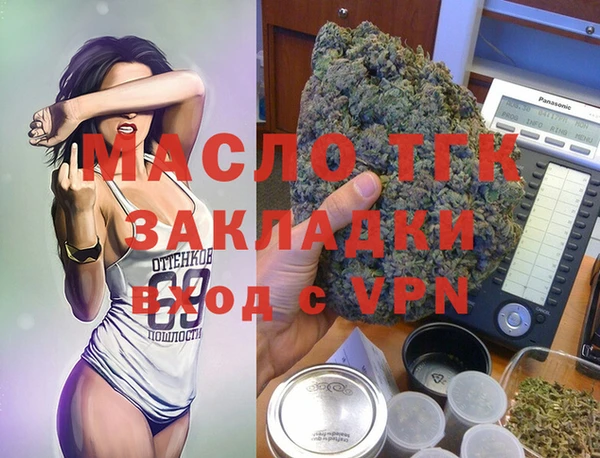мдпв Инта