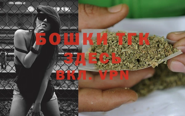 шишки Инсар