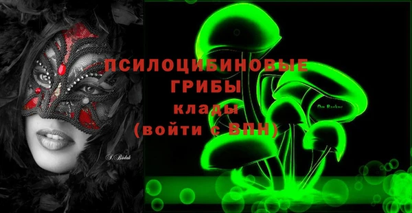 шишки Инсар