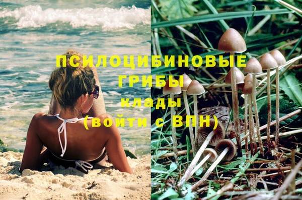 спайс Новокубанск