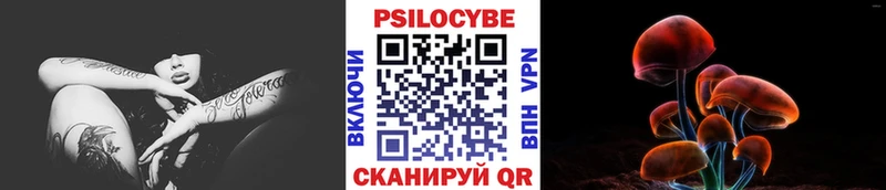 Псилоцибиновые грибы мицелий  Кедровый 